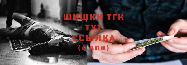 сатива Михайловск